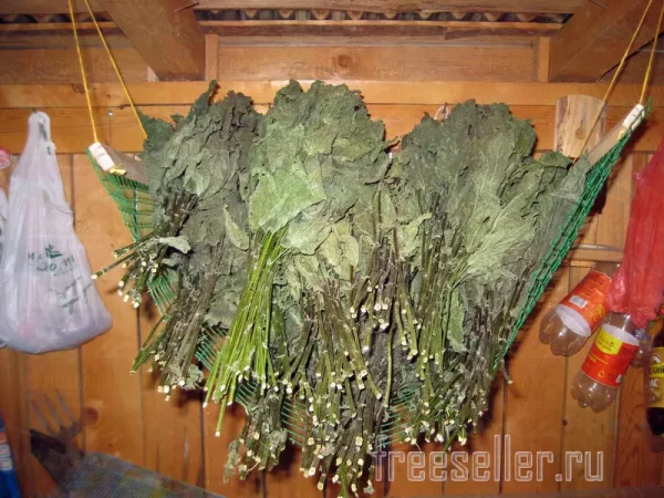 Подвес-гамак из пластиковой сетки для хранения крапивных веников