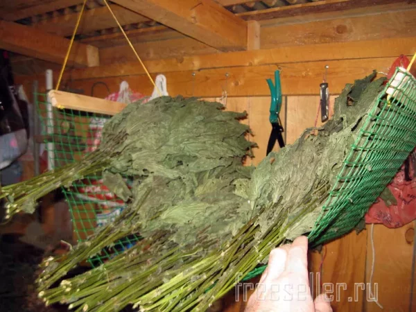 Подвес-гамак из пластиковой сетки для хранения крапивных веников